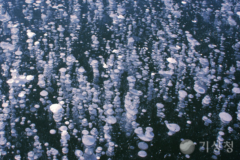 기상청 얼음에 갇힌 공기방울