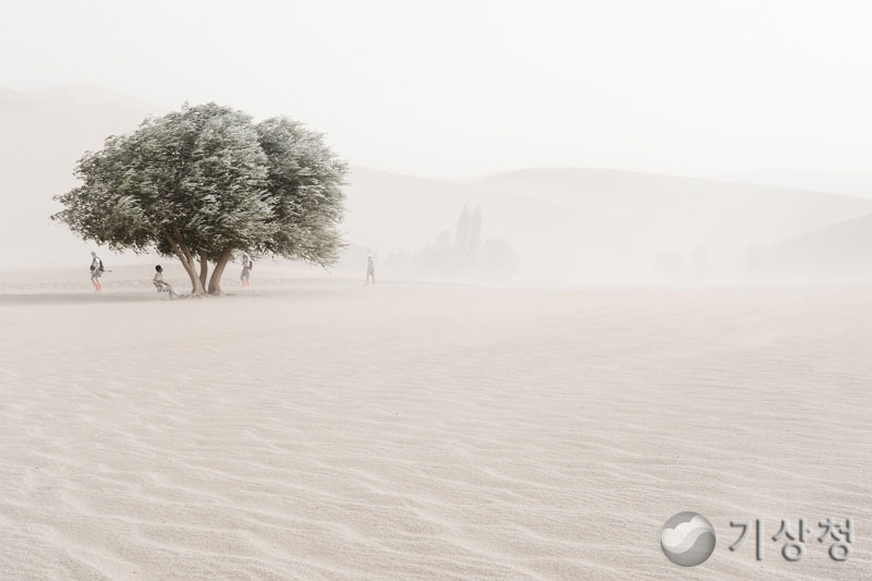 기상청 명사산(鳴沙山) 울다(모래 바람)