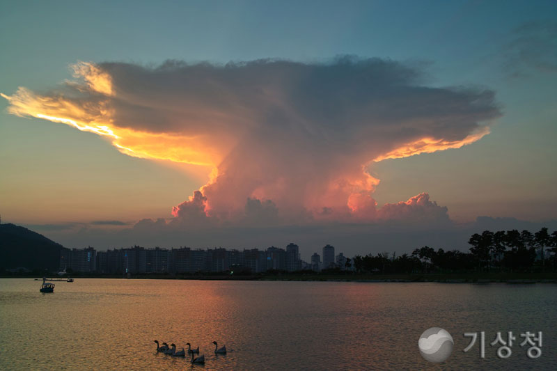 기상청 도심에 나타난 버섯구름
