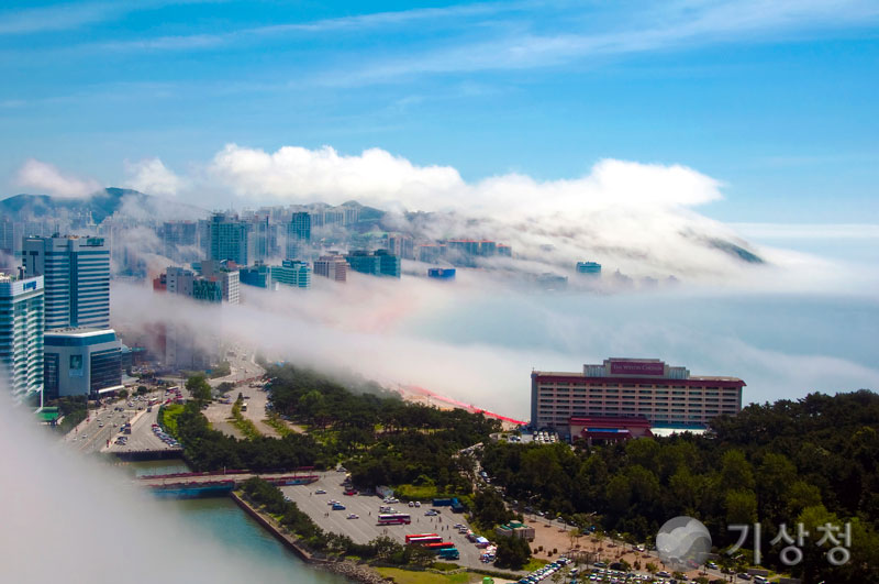 기상청 해무의 습격