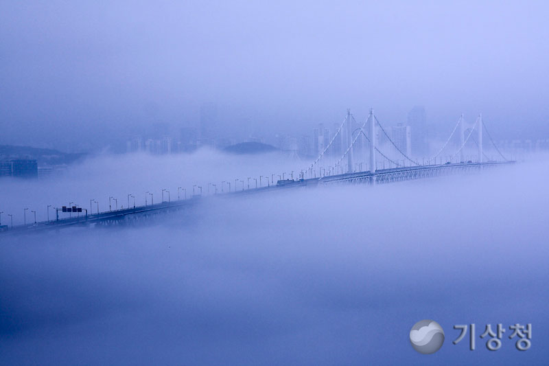 기상청 광안대교의 해무
