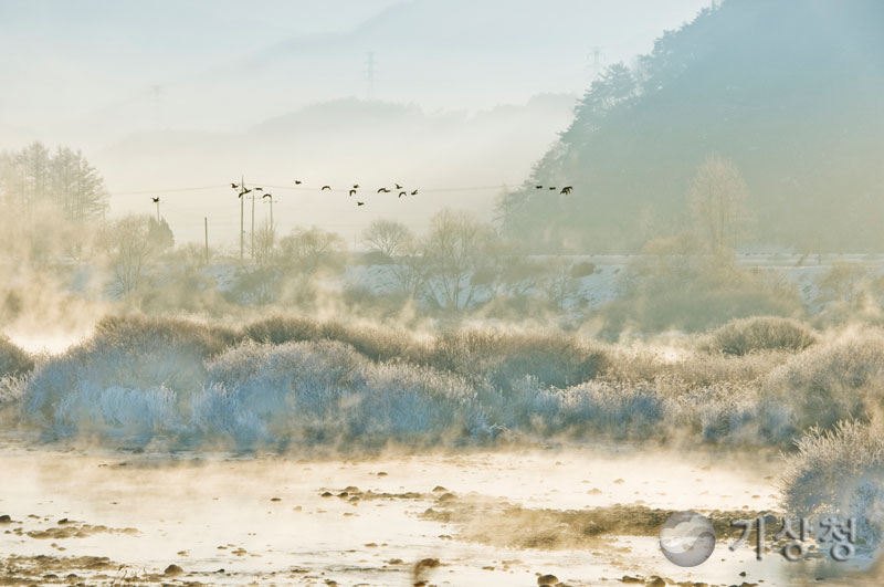 기상청 영하의 날씨에 기지개(물안개)