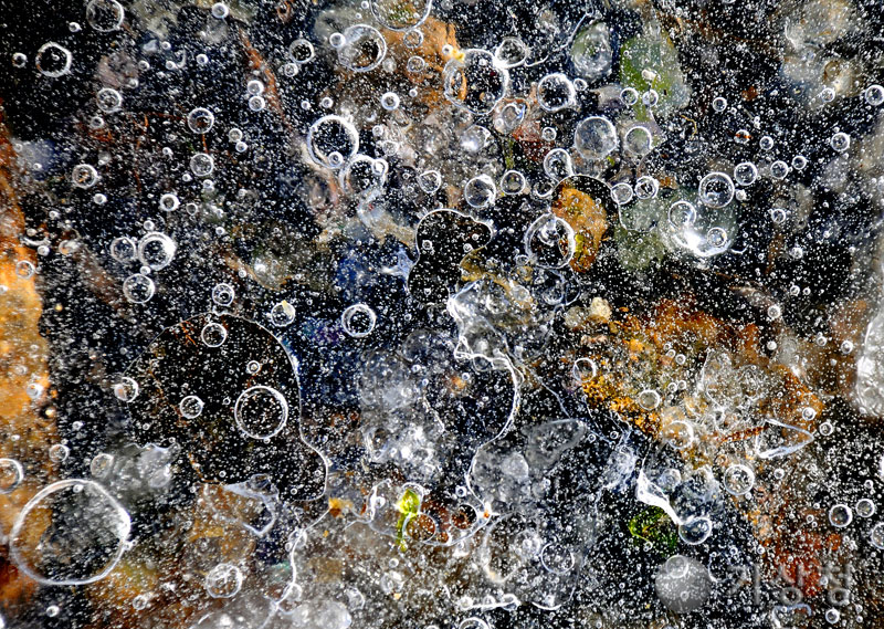 기상청 자연이 만든 소우주 2