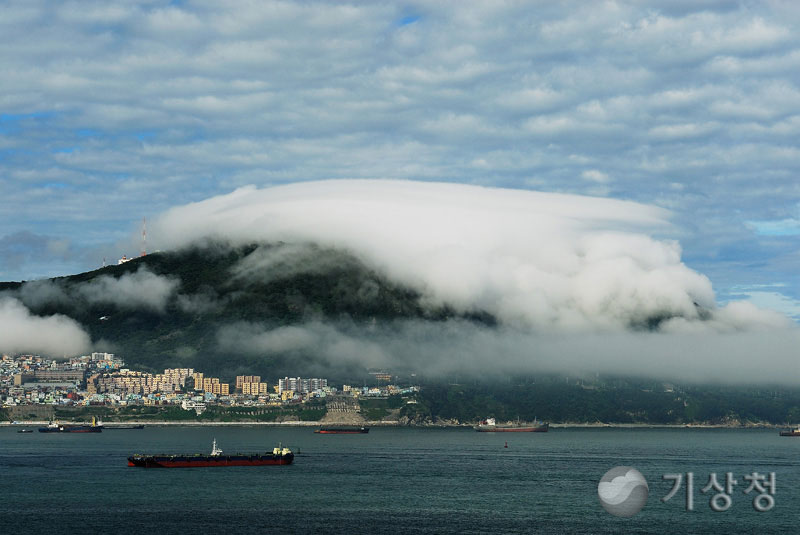기상청 운 무(해)