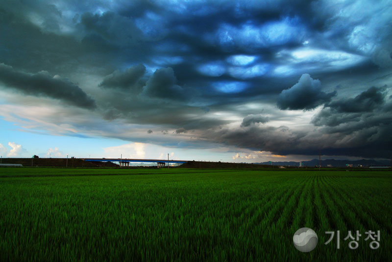기상청 춘포들녁