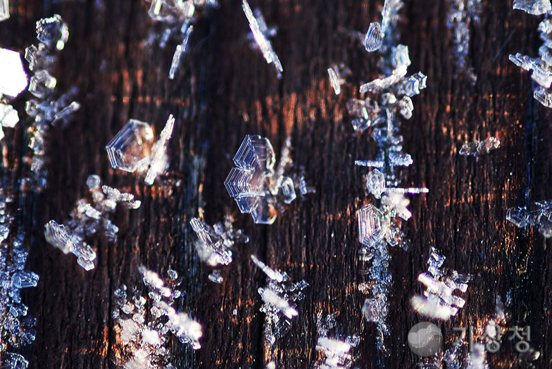 기상청 서리의 결정