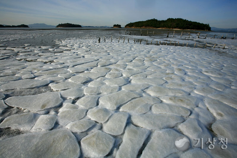 기상청 가막만의 한파 (얼음)