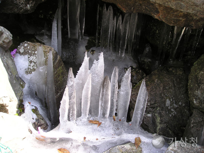 기상청 꽃피는 밀양 얼음골의 역고드름