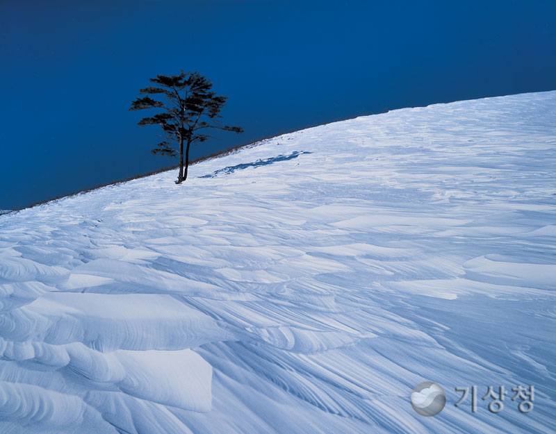 기상청 바람과 눈의 합작품