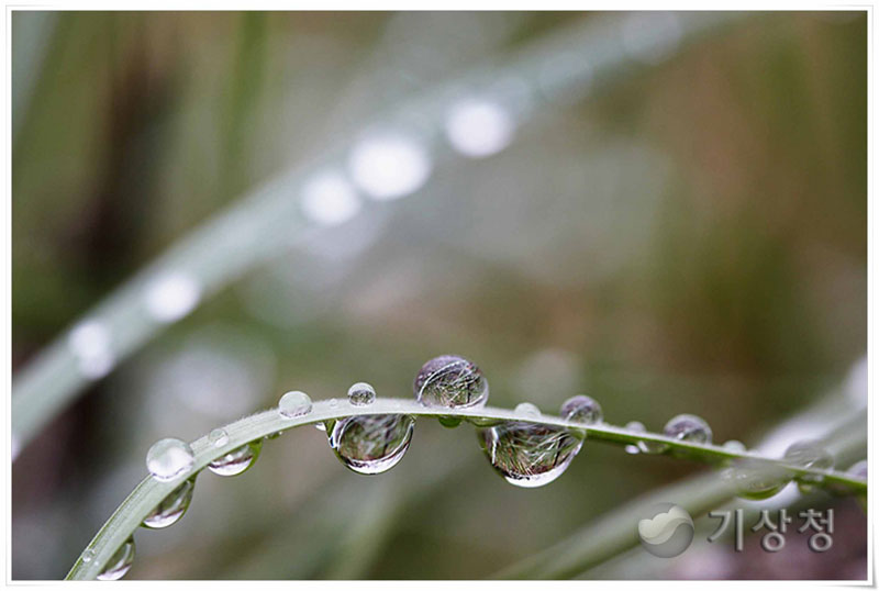 기상청 세상이 담긴 이슬
