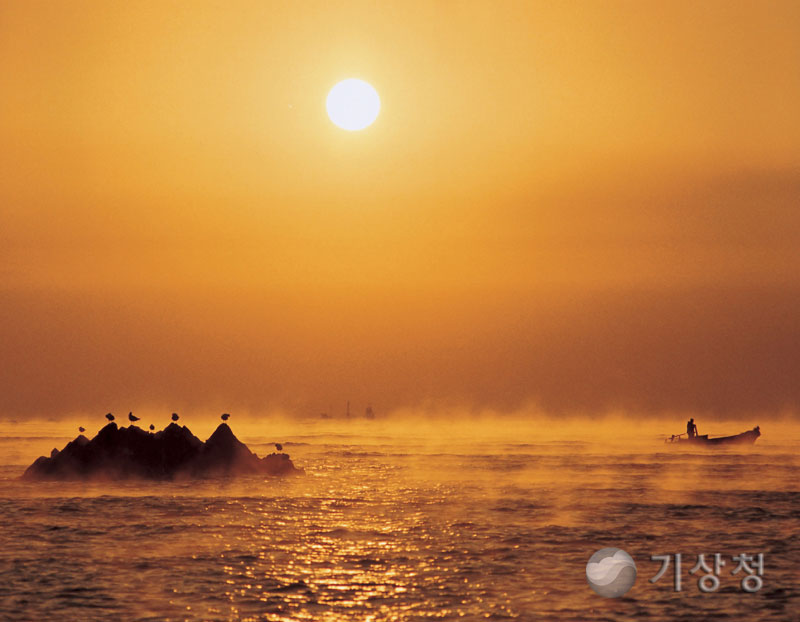 기상청 감포물안개