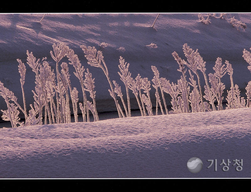기상청 자연이 만든 눈꽃