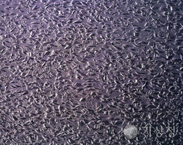 기상청 얼음 새들