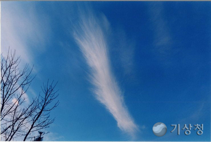 기상청 여우꼬리(권운)