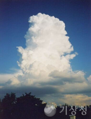 기상청 발달중인 운대적운 