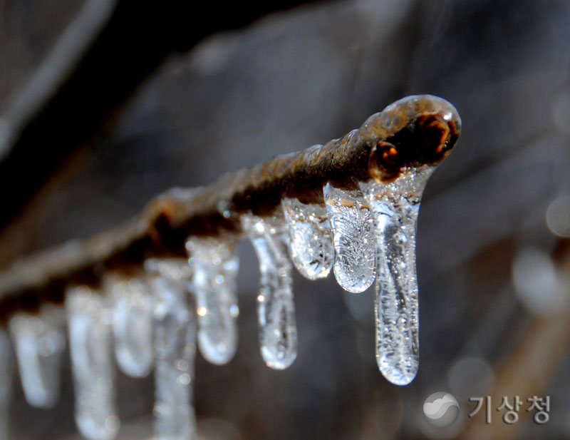 기상청 어는 비