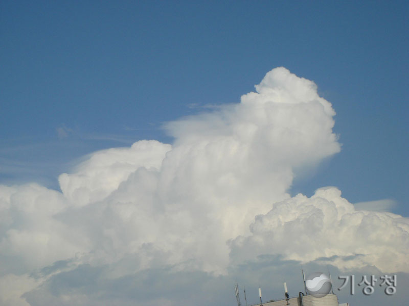 기상청 발달하는 적운