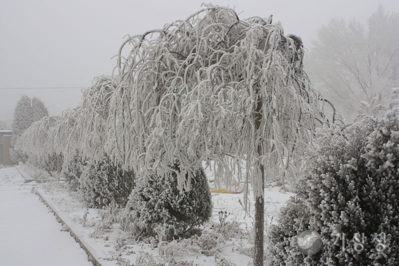 기상청 하얀세상