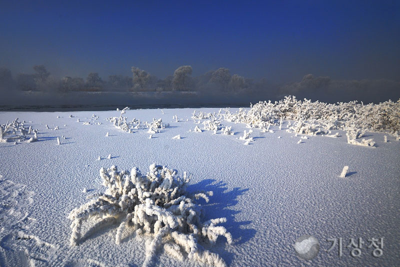 기상청 눈덮인 산호