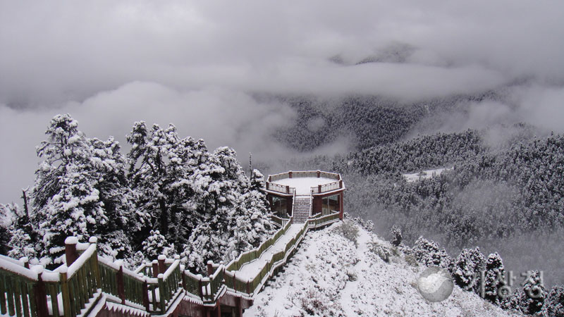 기상청 눈덮인 숲