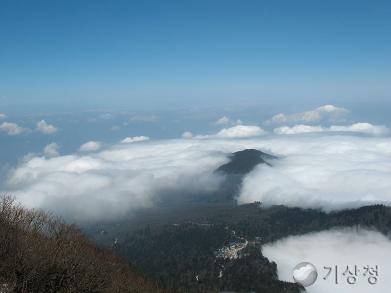 기상청 높은산을 덮고 있는 구름바다