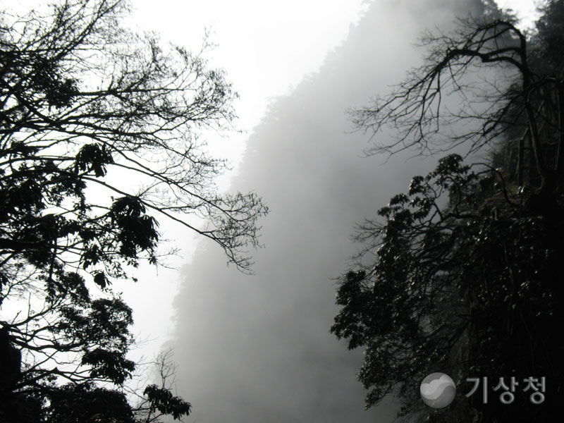 기상청 짙은안개