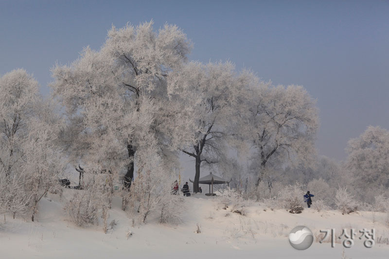 기상청 snow on the branches