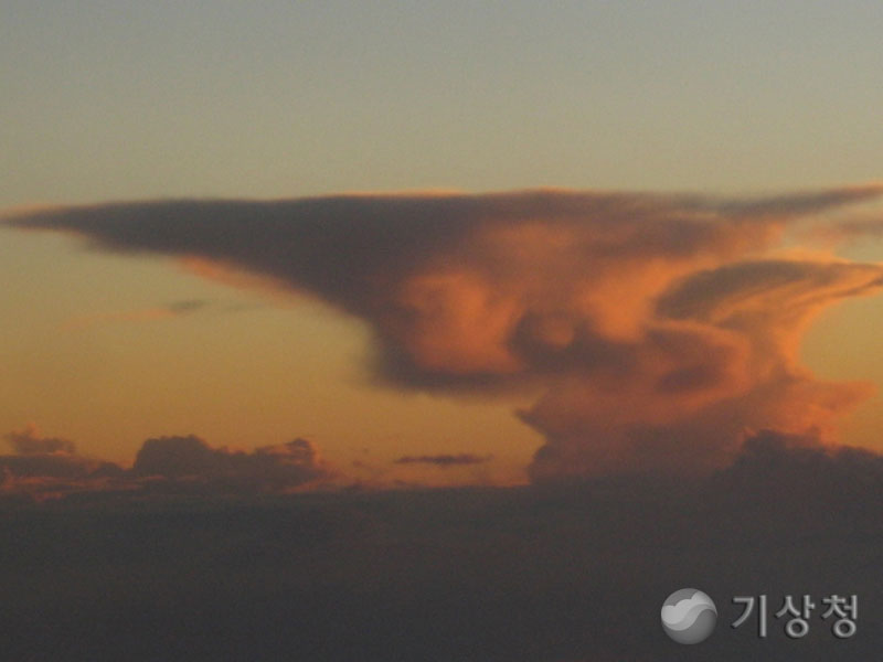 기상청 a storm is brewing