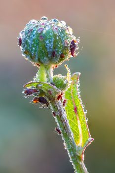 기상청 생명의 순환 