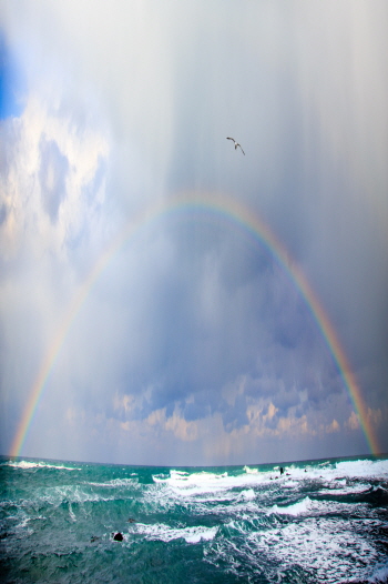 기상청 바다 위의 무지개
