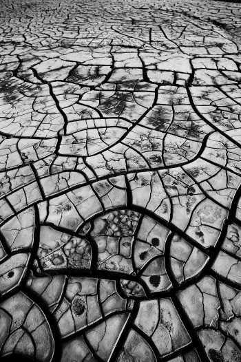 기상청 헤엄치고 싶은 물고기