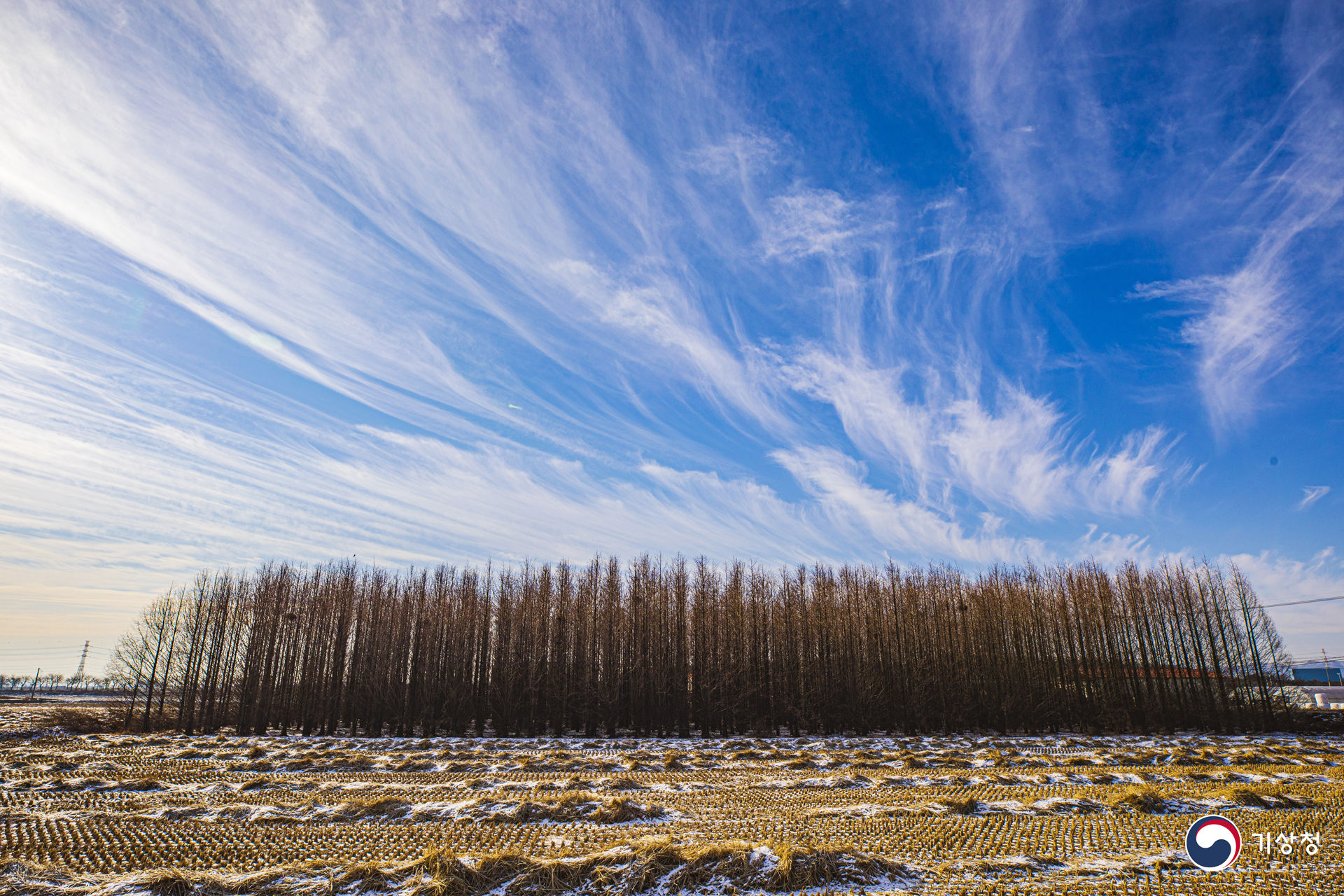 기상청 새털구름