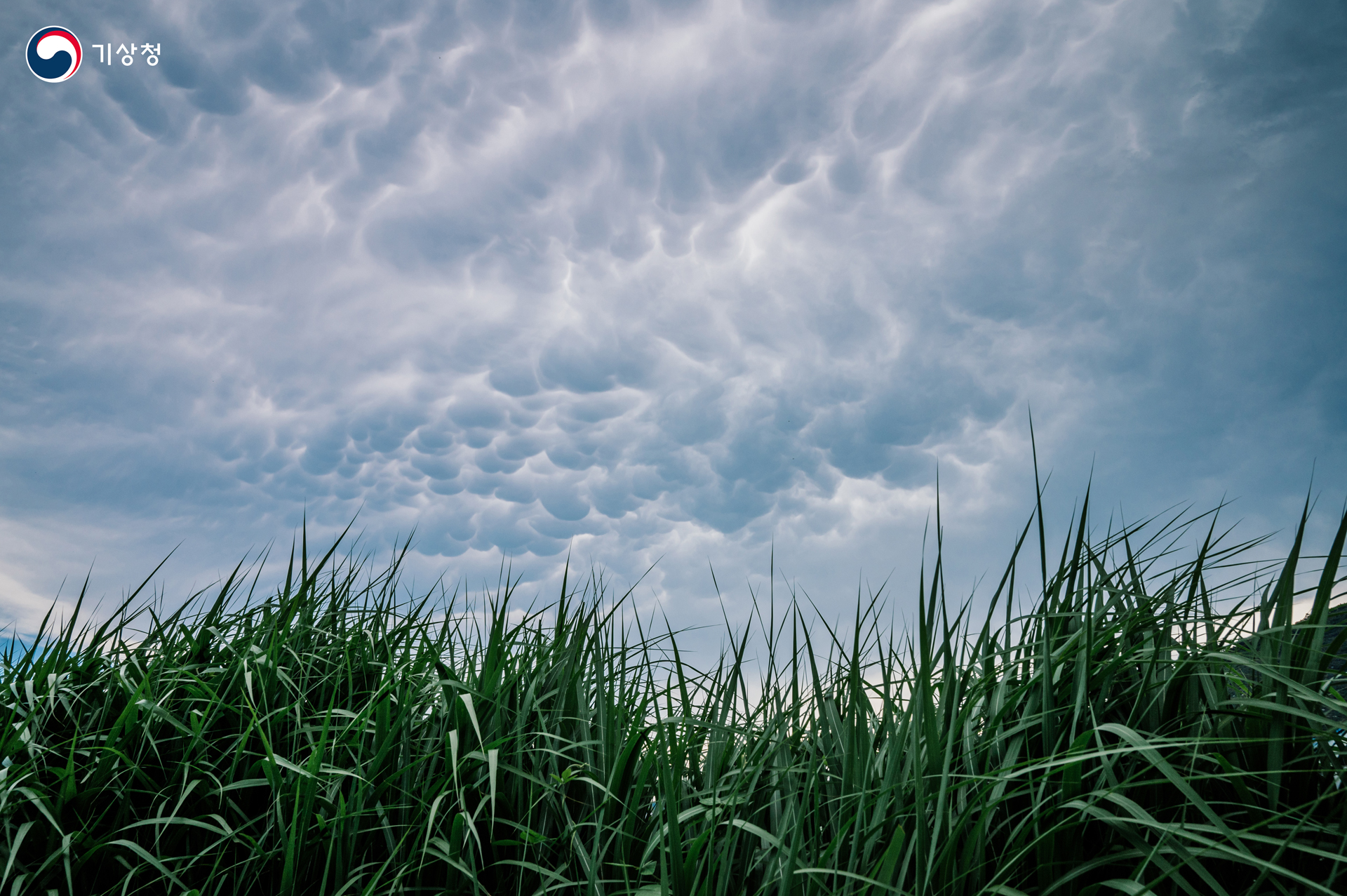 기상청 하늘 가득 유방운