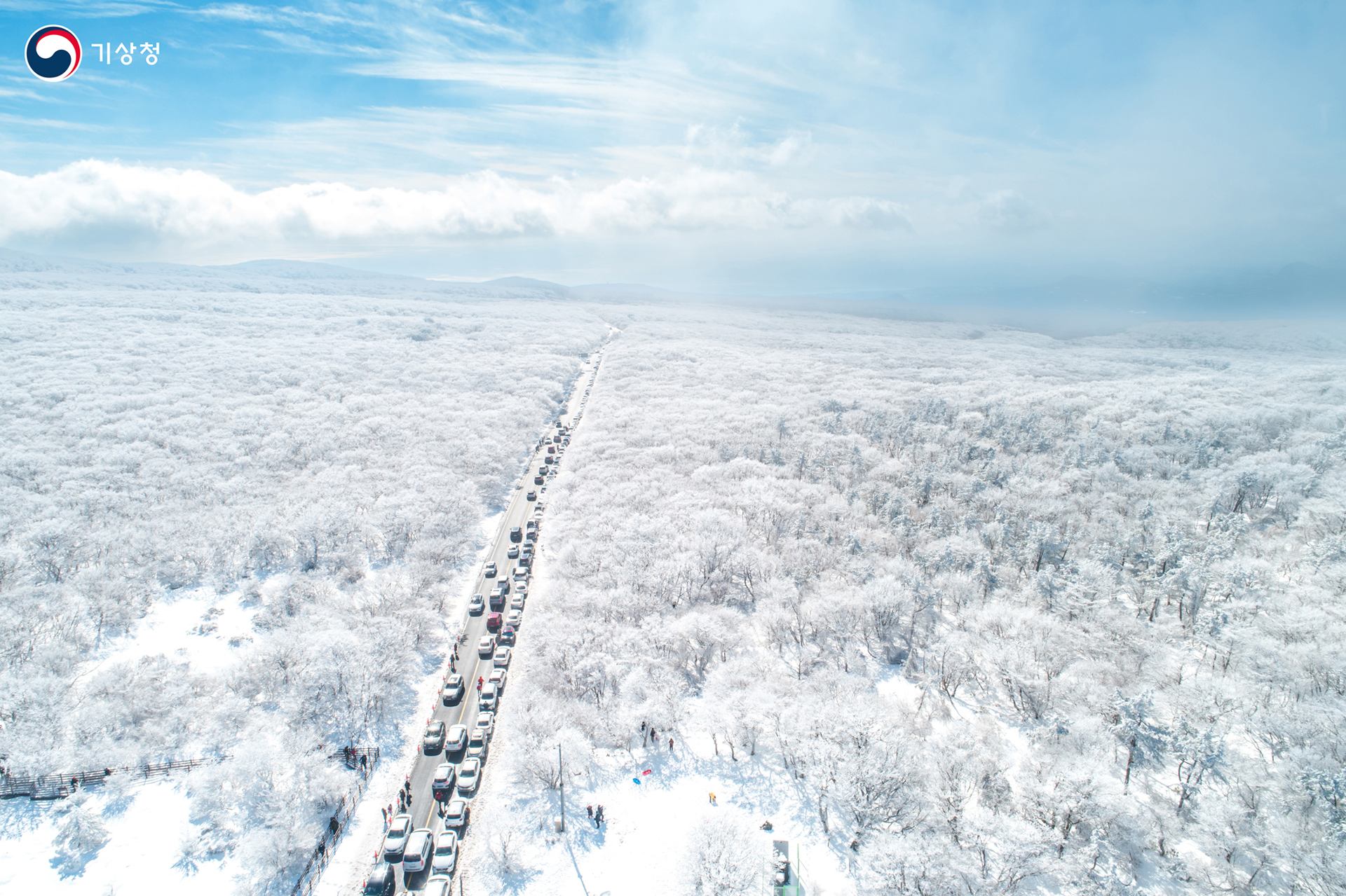 기상청 눈꽃 세상
