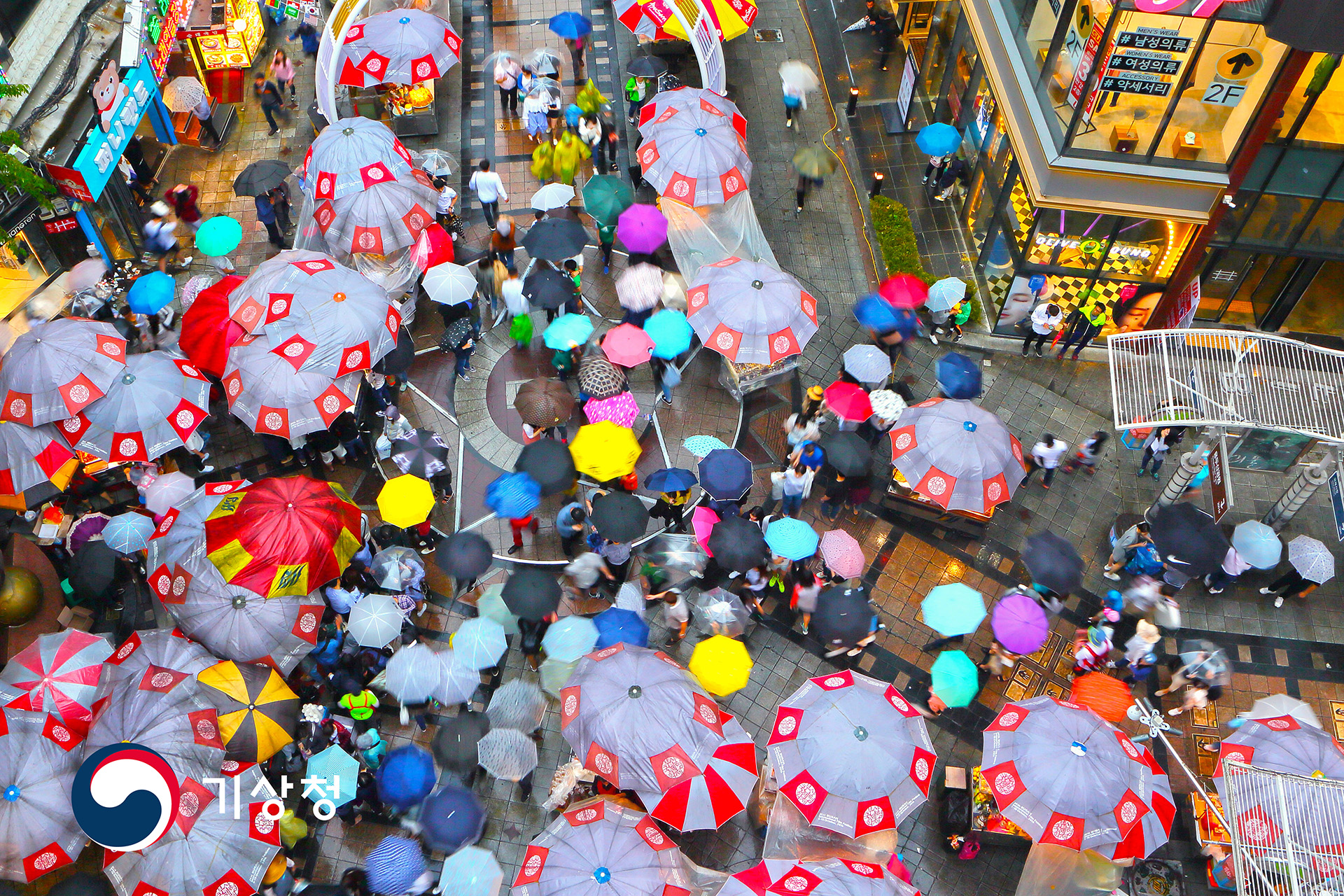 기상청 봄비 속의 수채화