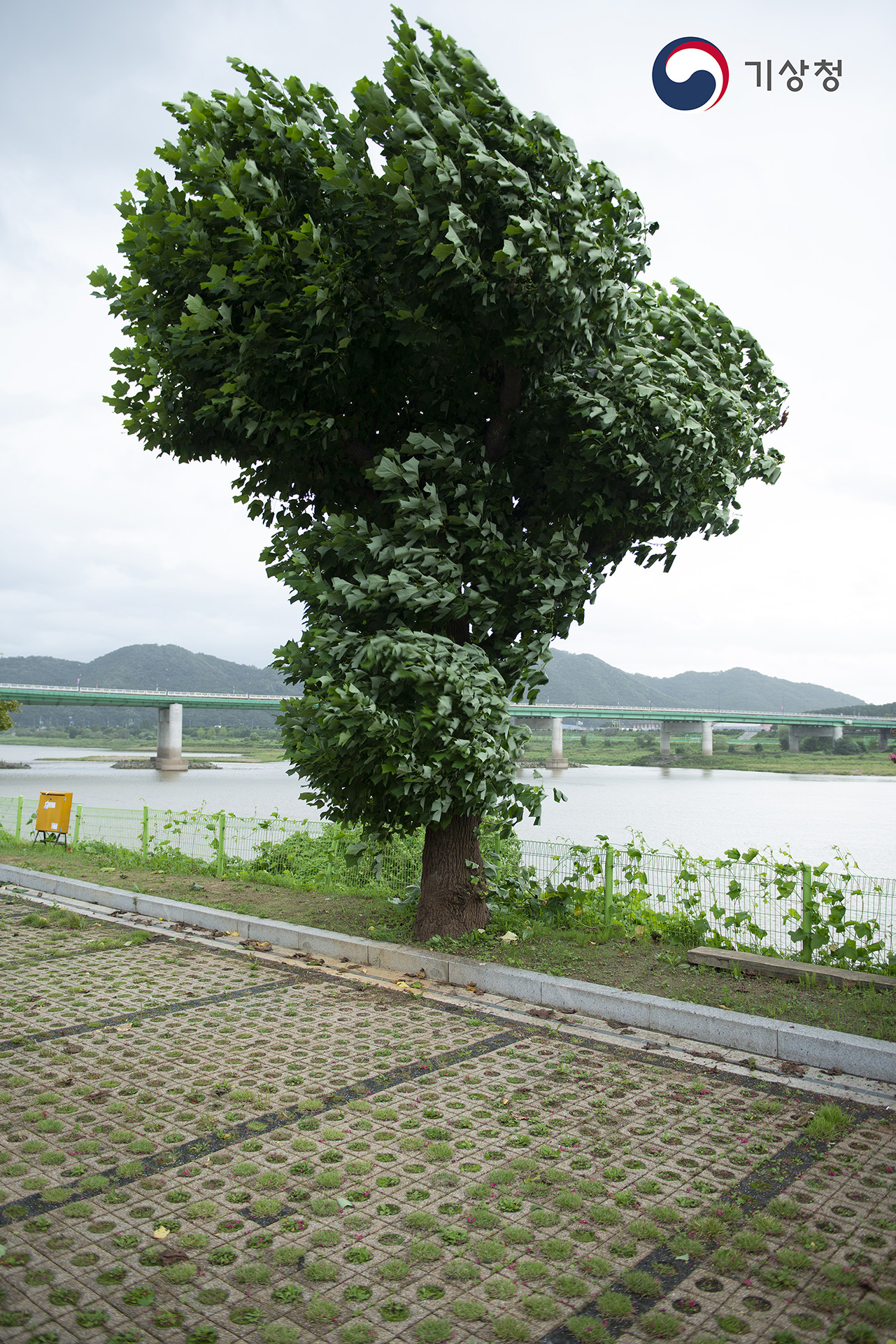 기상청 13호 태풍 링링이 머문 자리