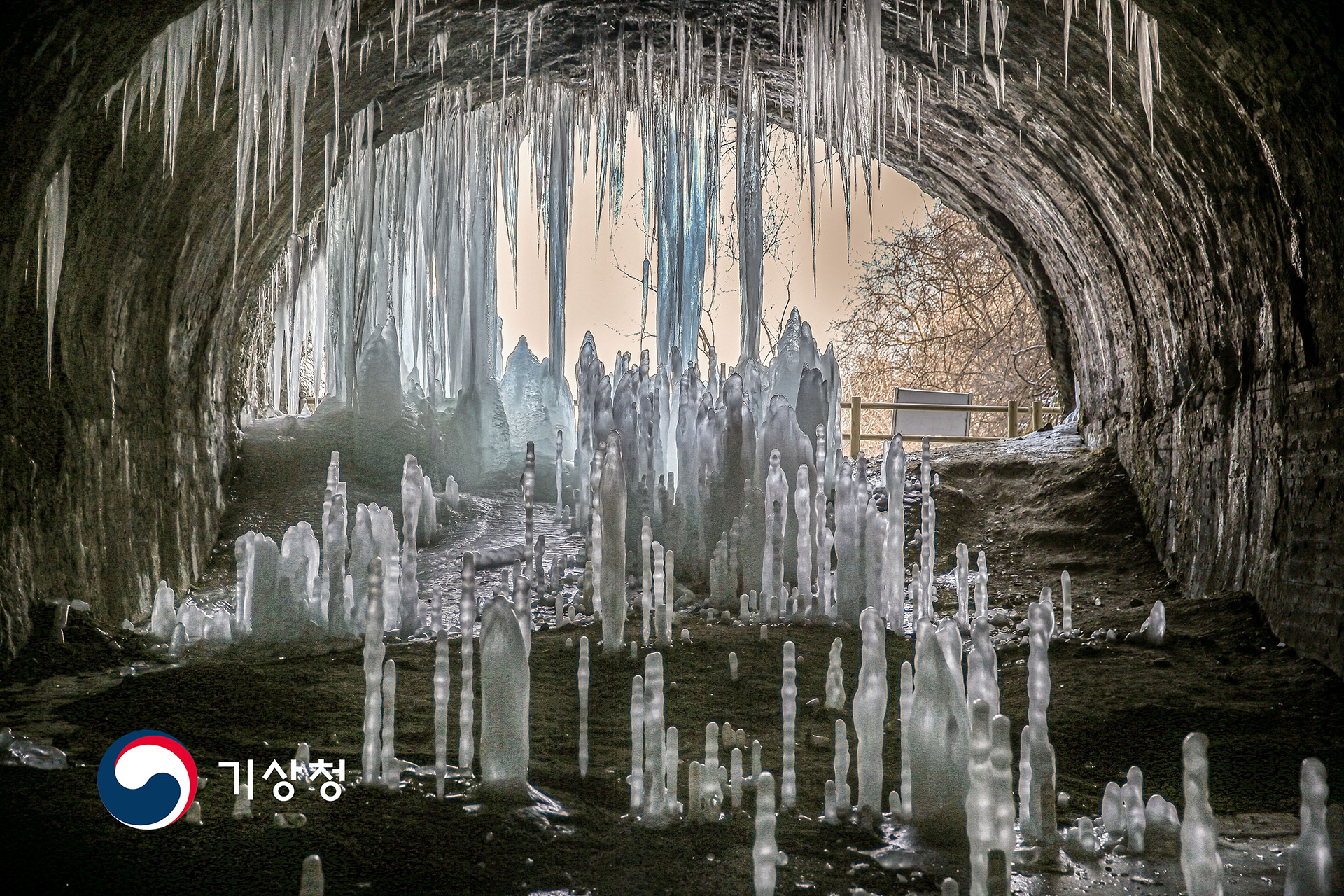 기상청 폐 터널의 보디가드