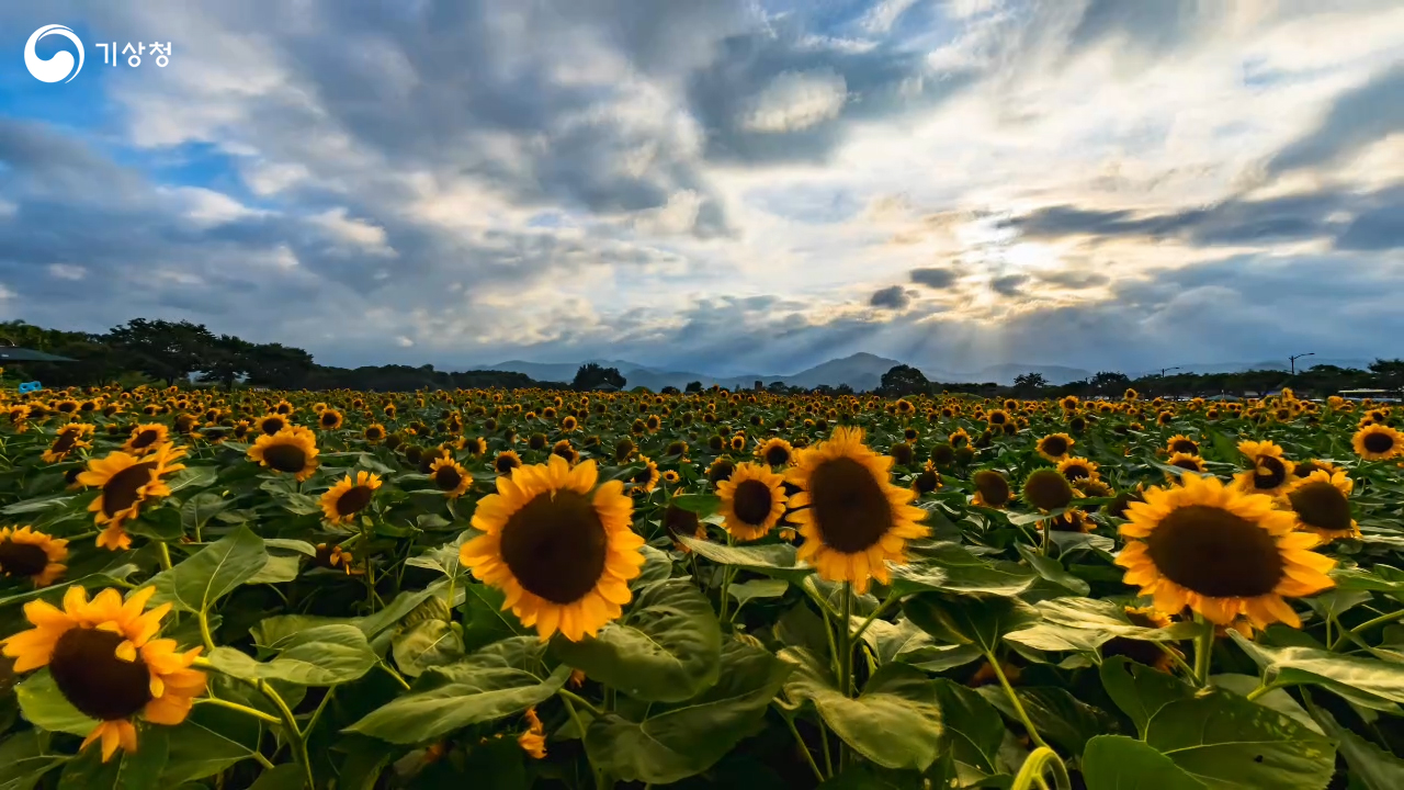 기상청 경이로운 자연