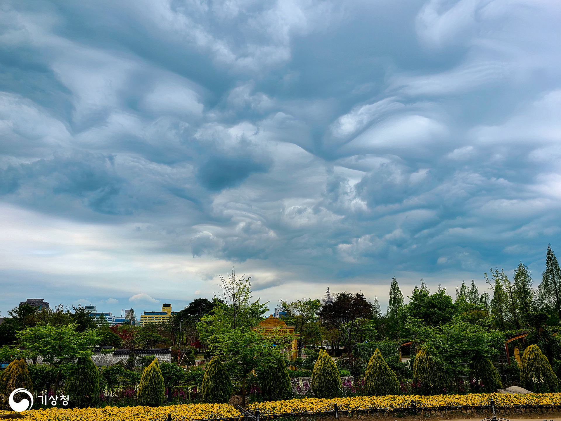 기상청 고요한 수목원의 하늘