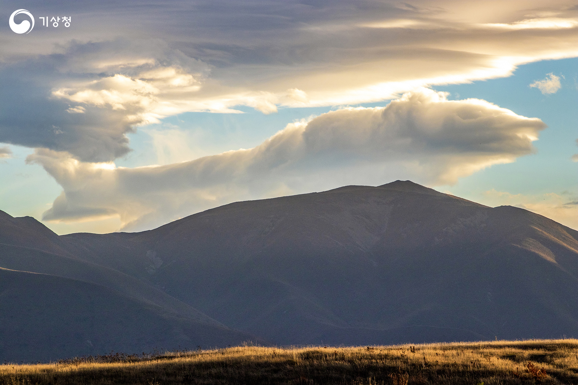 기상청 물고기 날다