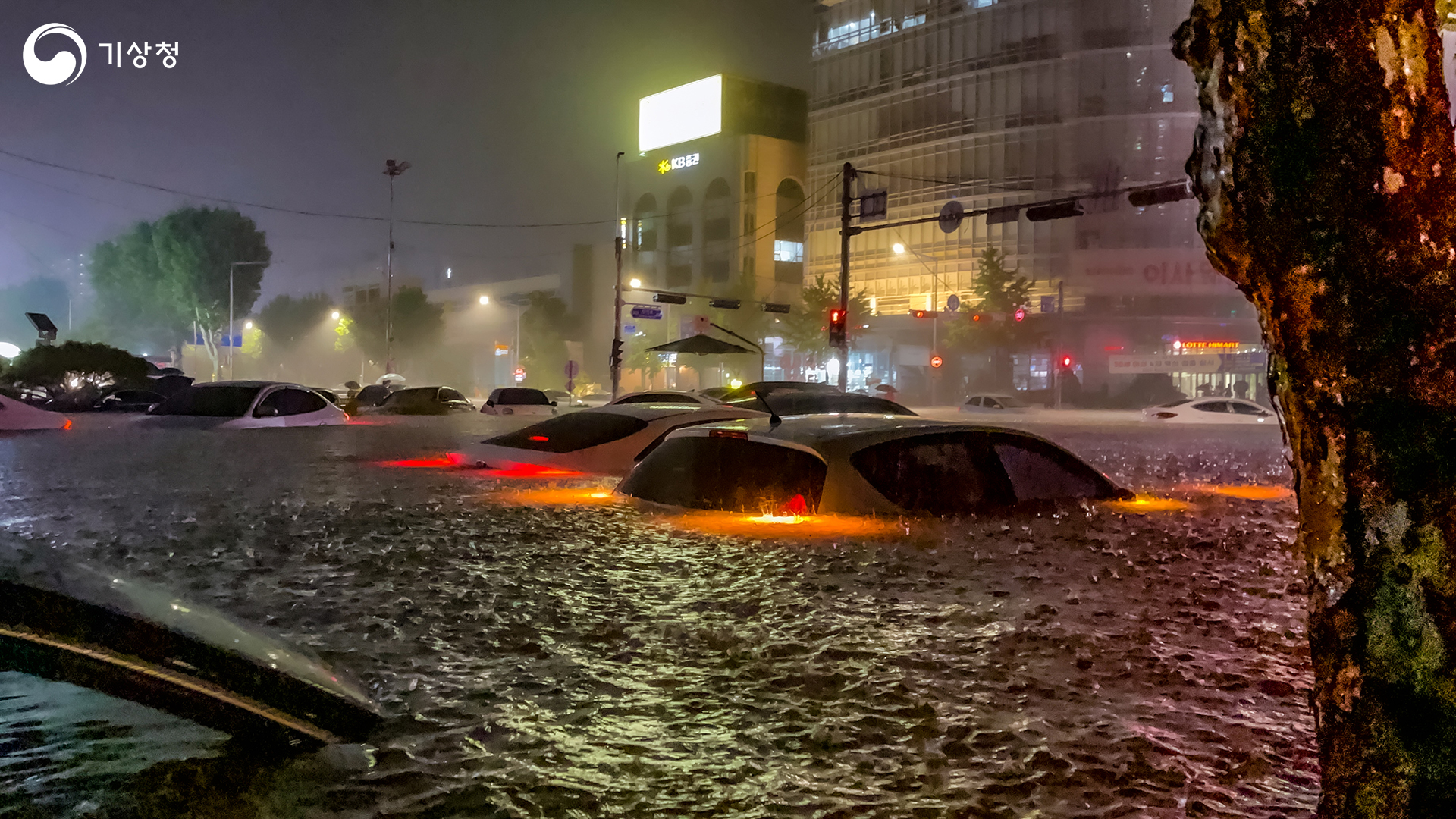 기상청 삐뽀 삐뽀