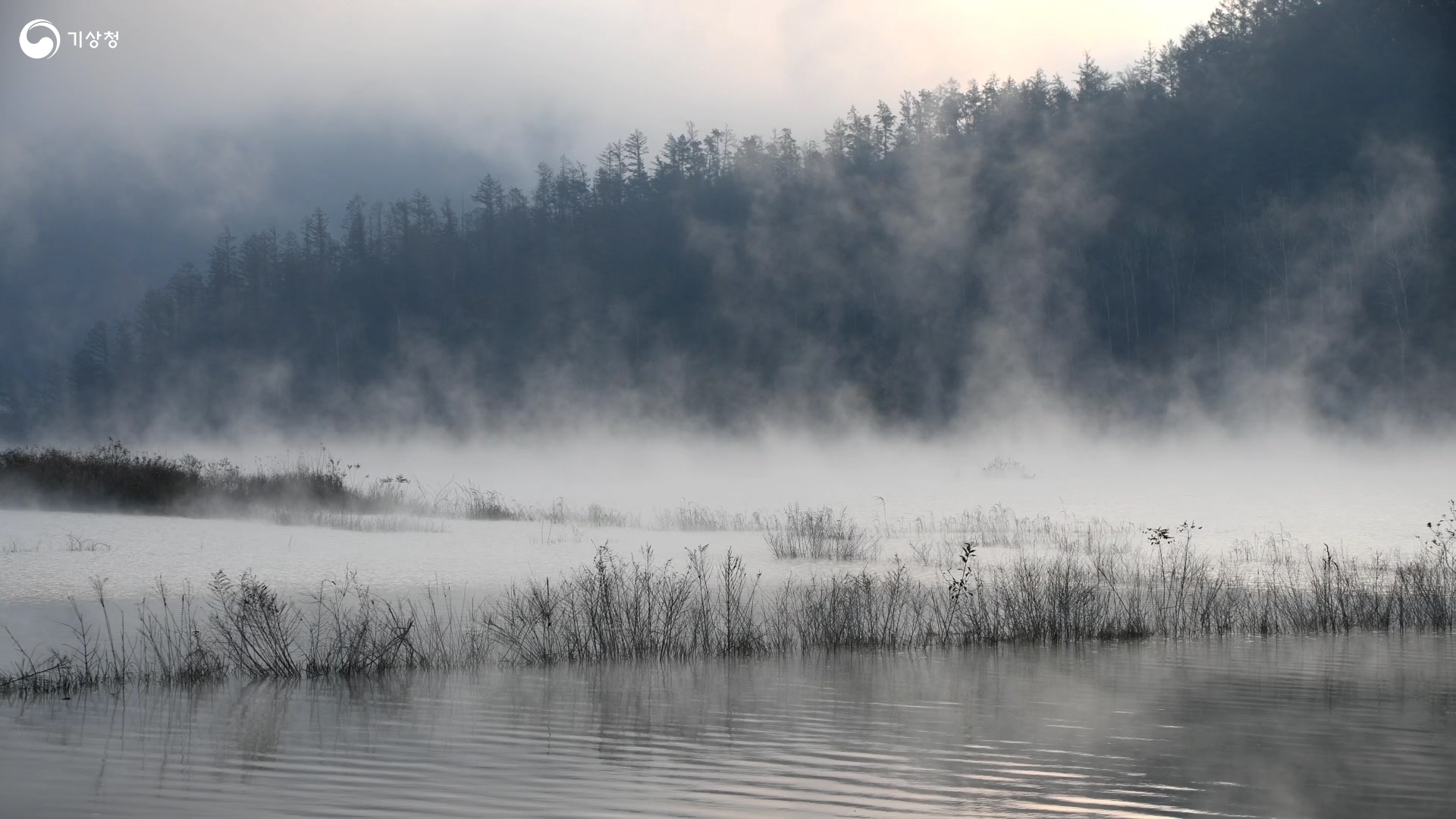 기상청 물안개 피는 아침