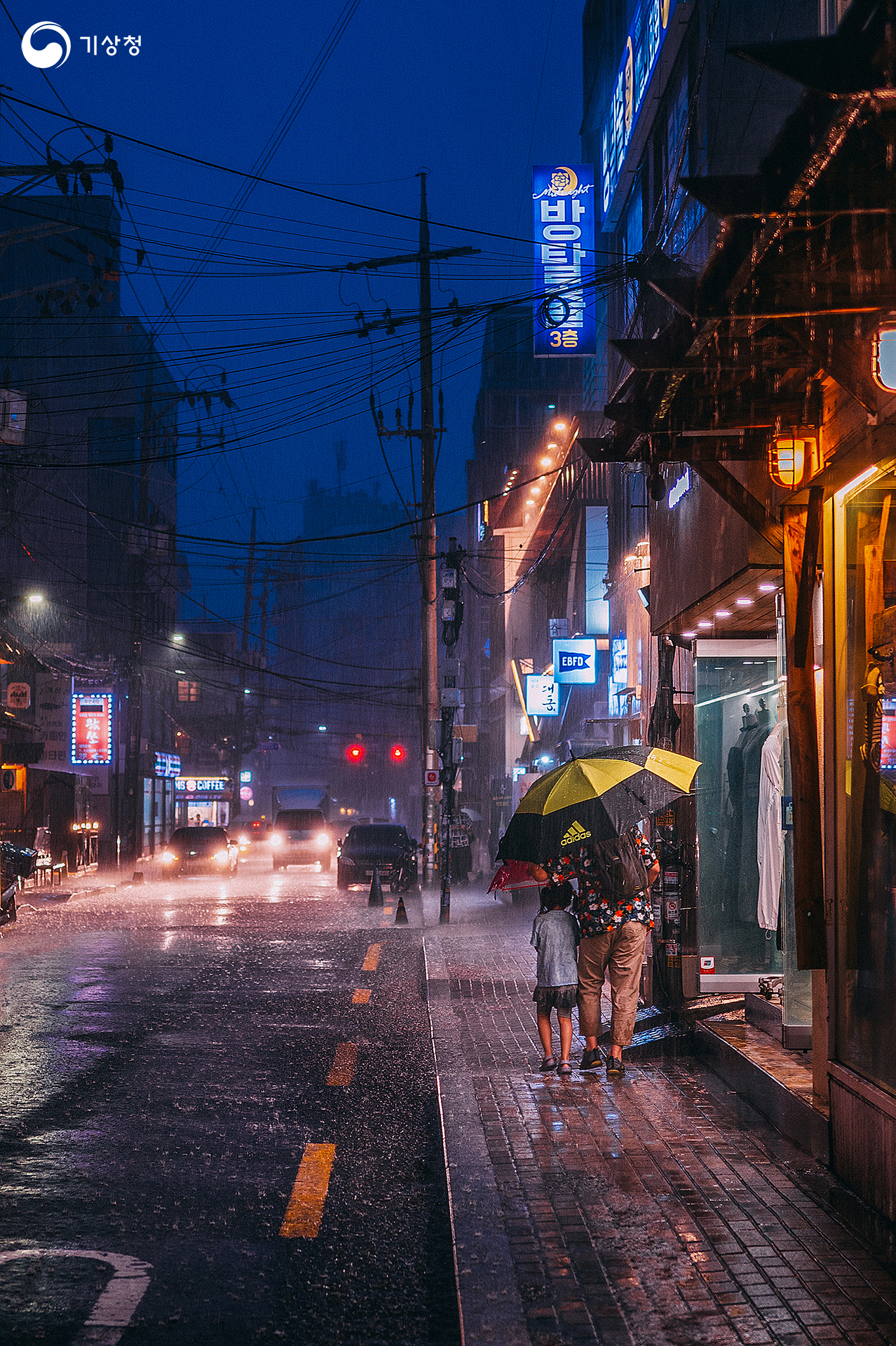 기상청 내리사랑
