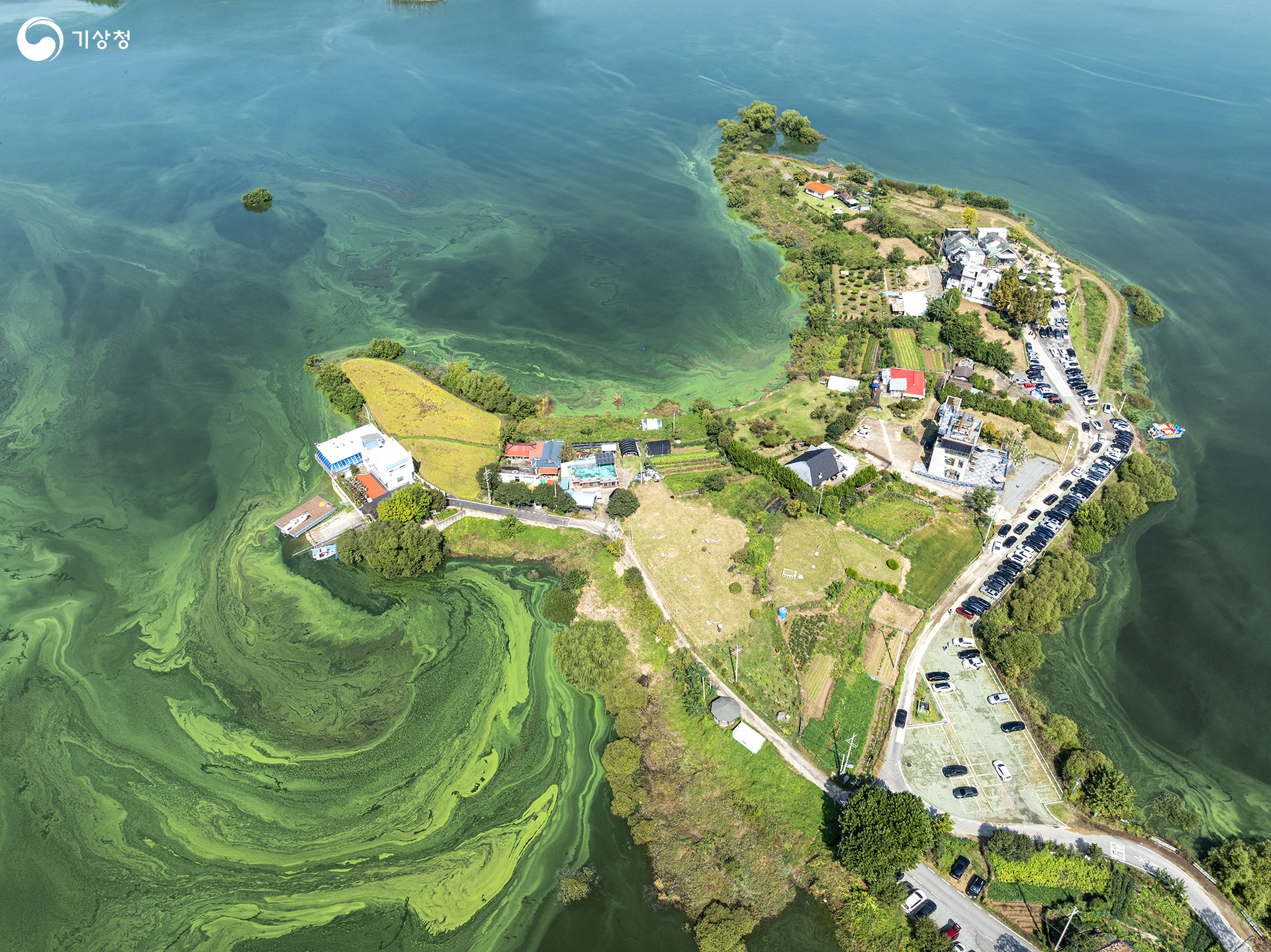 기상청 녹조의 습격