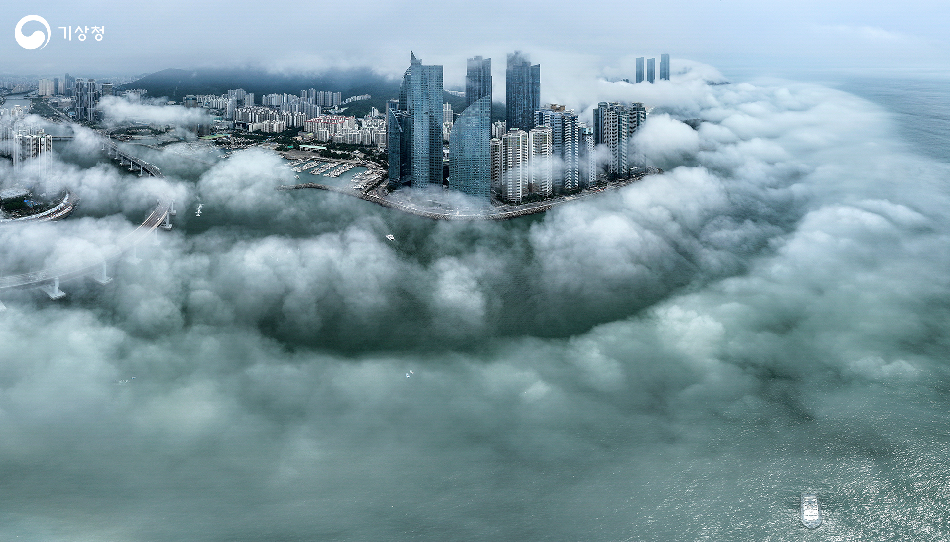 기상청 육지로 향하는 해무