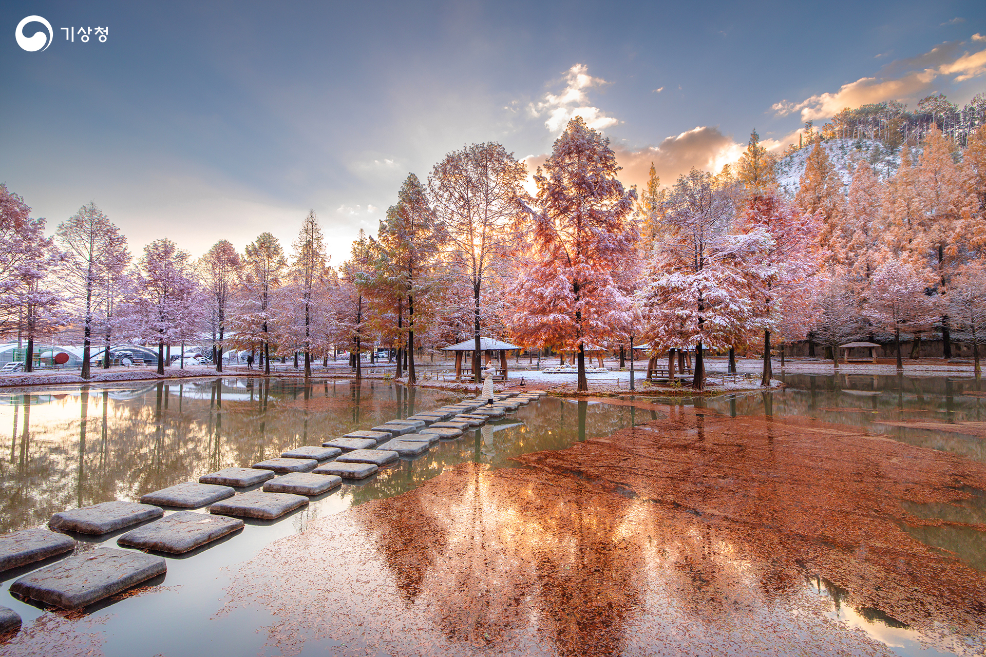 기상청 가을에 내린 눈