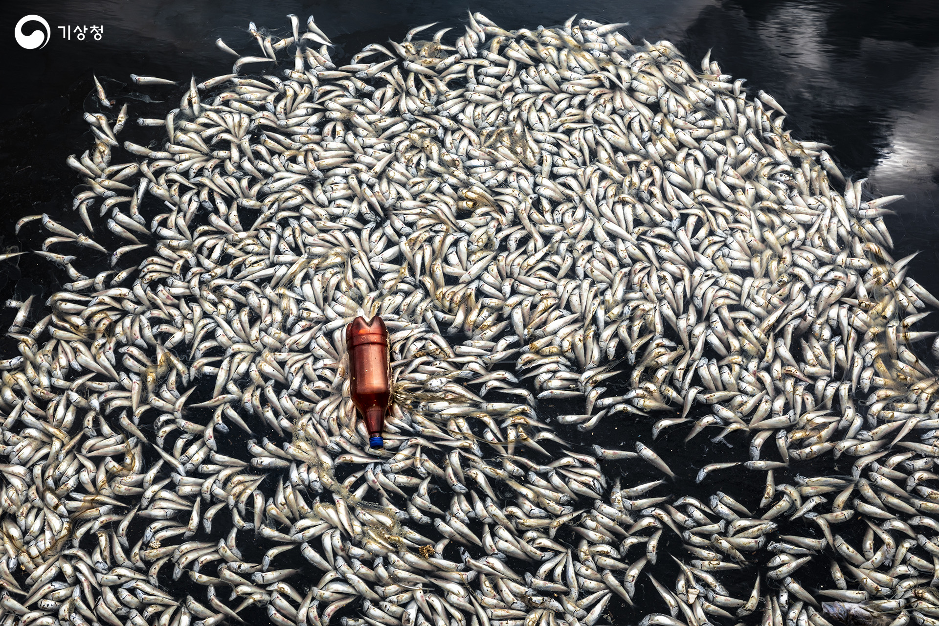 기상청 죽음의 바다