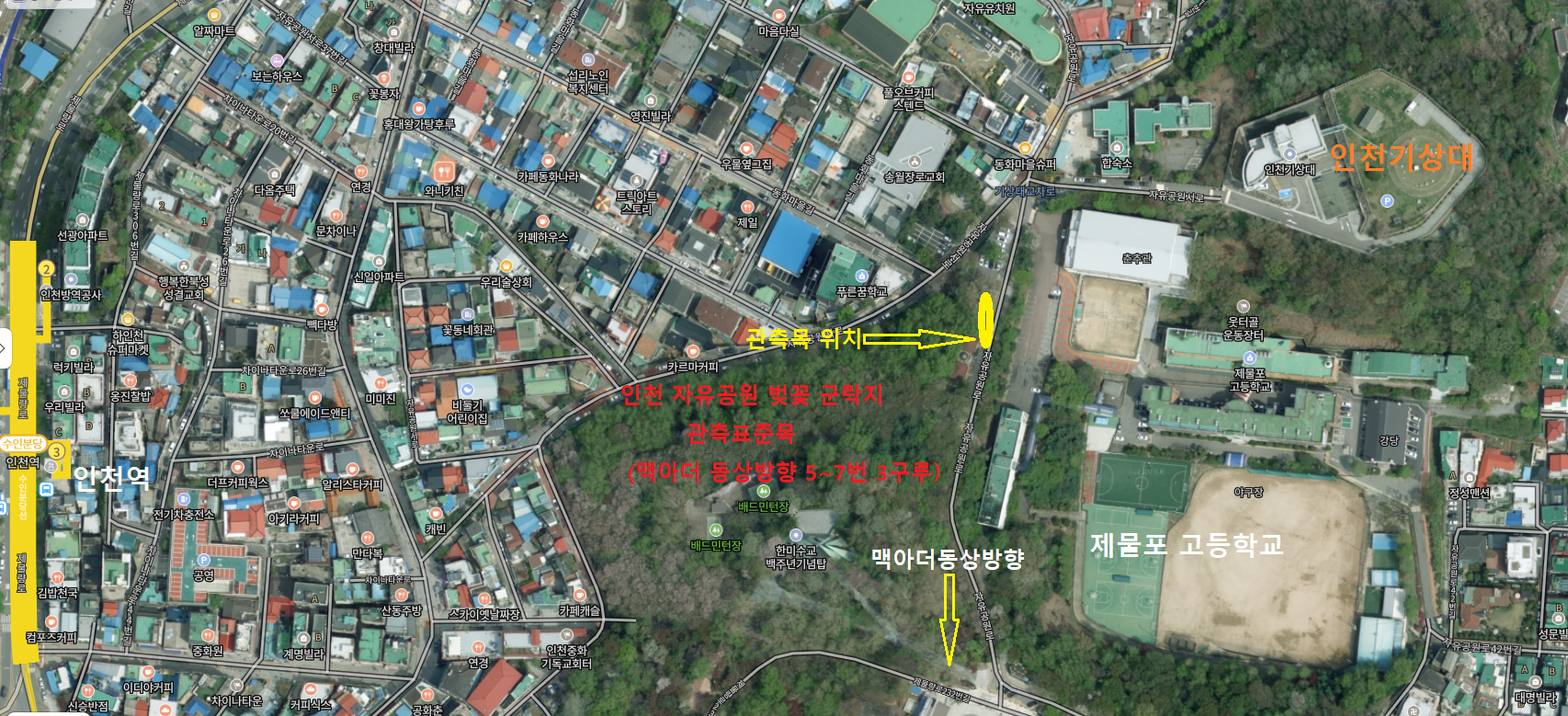 인천 자유공원 군락단지 위치