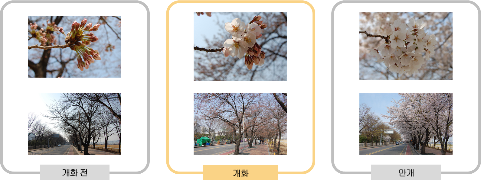 서울관측소전경