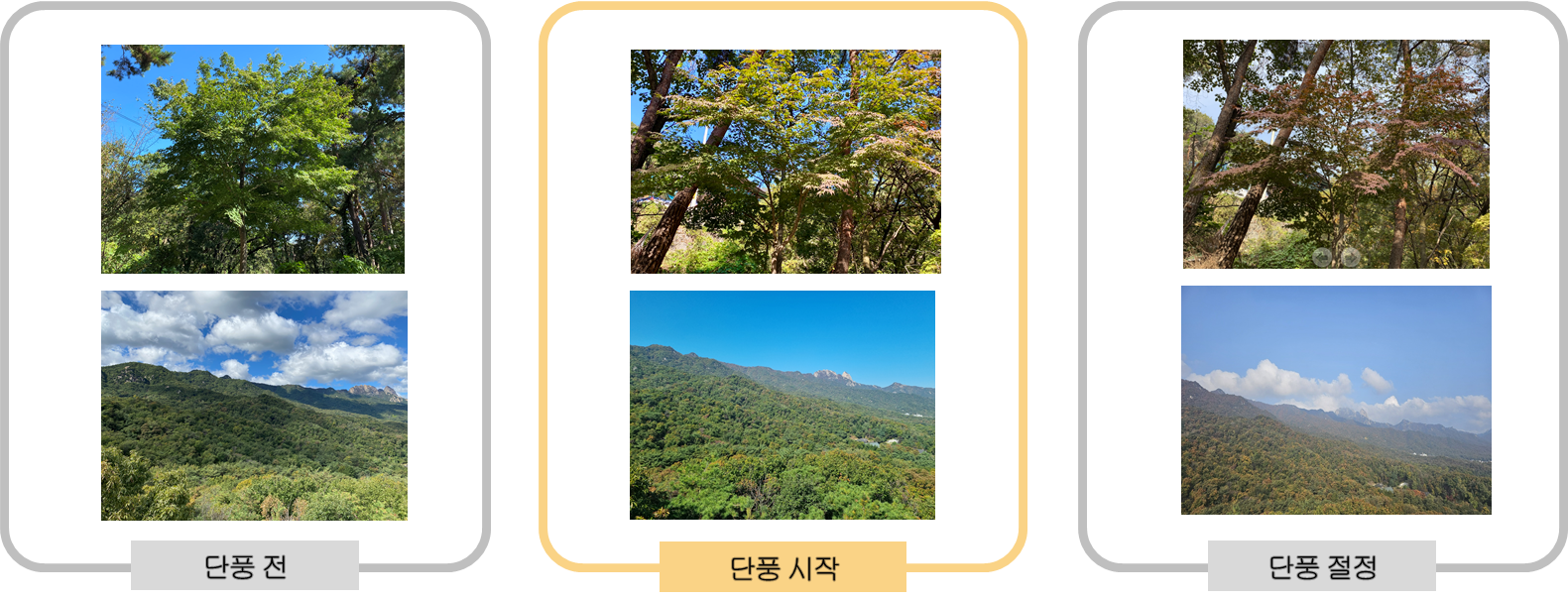 서울관측소전경